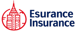 Esurance Insurance